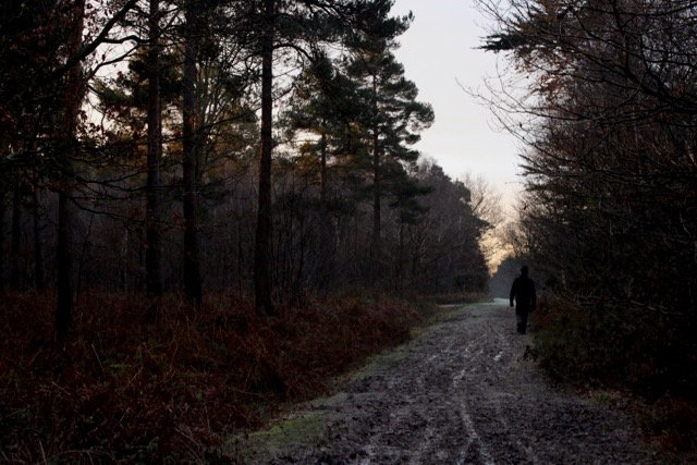 Finding a Deeper Connection to Nature in the Dark