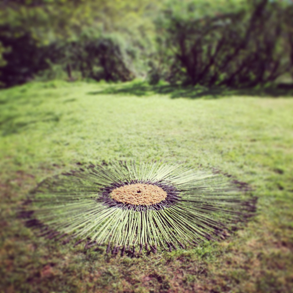 Explore Land, Art and Mindfulness on the South&nbsp;Downs