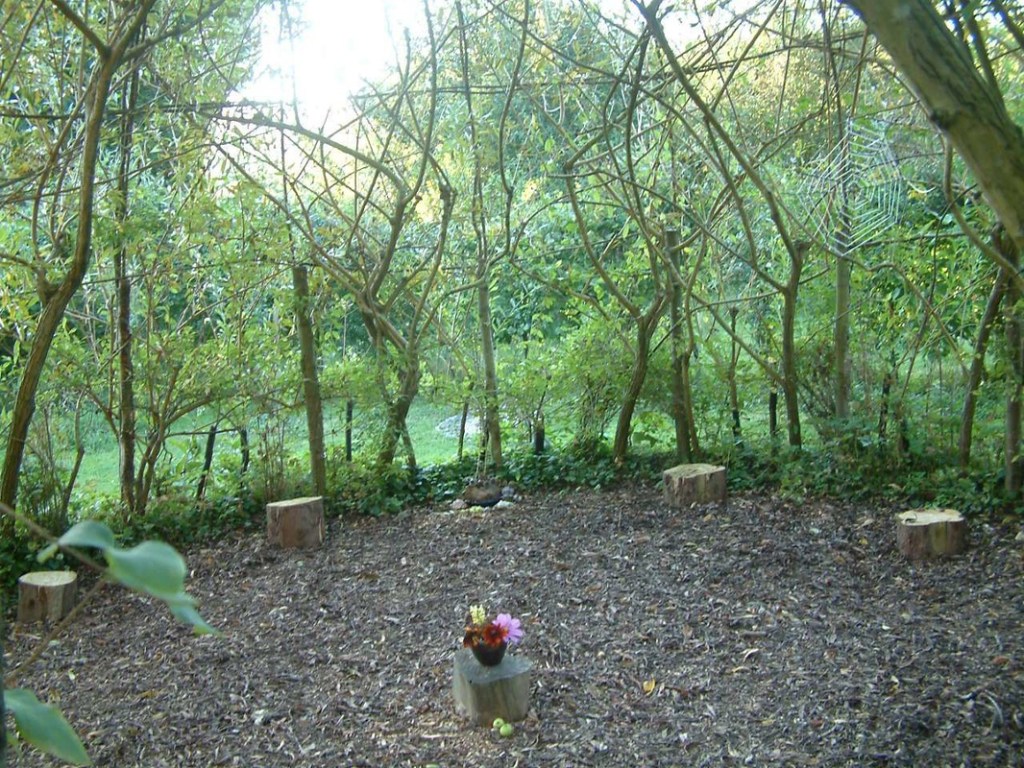 How I Find Some Backbone on a Medicine Walk