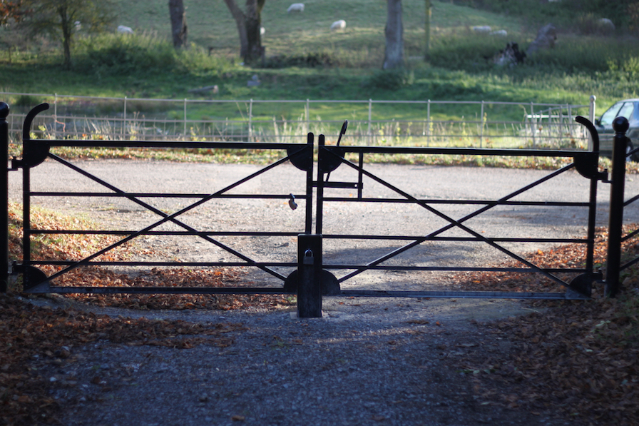 Medicine Walk Threshold - School of the Wild, Brighton